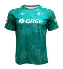 Camiseta Real Betis 25/26 IIII -Version Aficionado