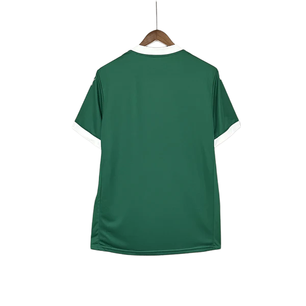 Camiseta Palmeiras 25/26 I de Local - Versión Aficionado