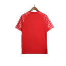 Camiseta Paris Saint - Germain (PSG) 25/26 II Tercera - Versión Aficionado