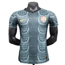 Camiseta Barcelona 25/26 Edición Especial - Gris - Versión Jugador