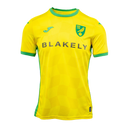 Camiseta Norwich 24/25 I de Local - Versión Aficionado