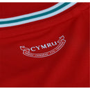 Camiseta Gales 2026 I Local - Versión Aficionado