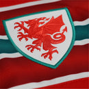 Camiseta Gales 2026 I Local - Versión Aficionado